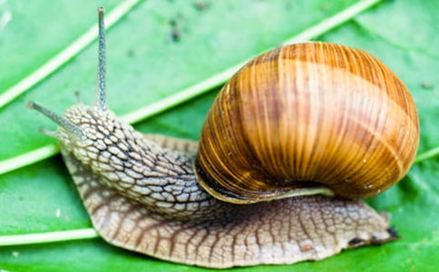 �а�����������С��ţ�̰���ͨ��12ƪ��