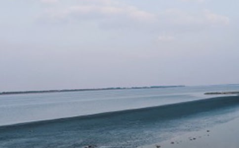 《六月,我们看海去》教案