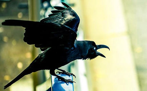 ����ѻ��ˮ���̰����Ļ�����ƪ