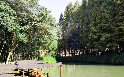 �����δ�