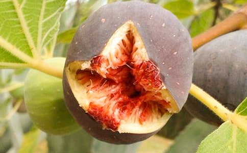 �޻�������ô�Բ���Ӫ���޻�������ʲô��Ч