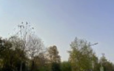 �����簲��¼����100��