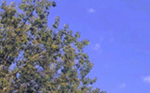 ��������簲��¼���ܣ�ͨ��100�䣩