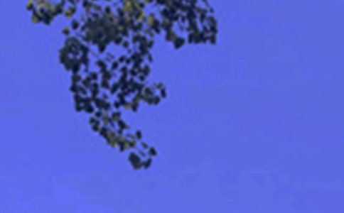 �����簲�����ѡ230�䣩