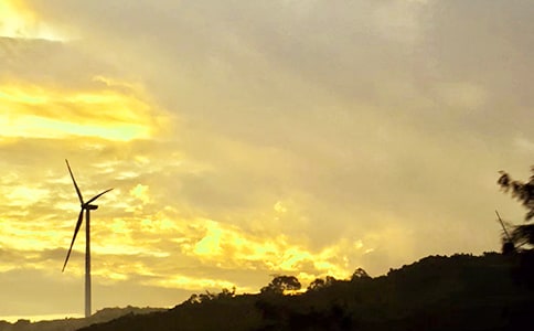 ��������簲��¼��ȫ����ѡ100�䣩