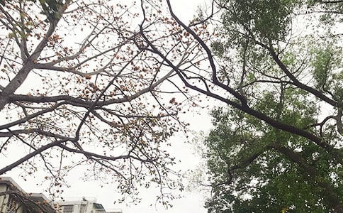 2023��ʵ�õ����������簲��¼�ϼ�56��