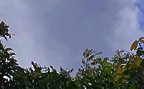 ů���簲��¼��ȫ90�侫ѡ