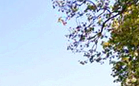 治愈午安语录(通用70句)