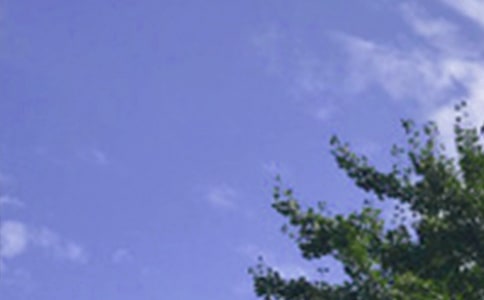 ������ܰ�簲��¼��ͨ��50�䣩