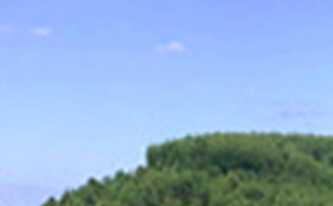 2023���簲��¼ժ¼30��