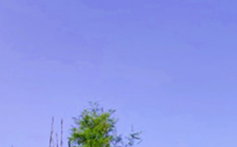 ���������簲��¼