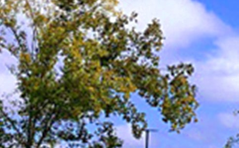 ����Ψ���簲��¼���ܣ�ͨ��50�䣩