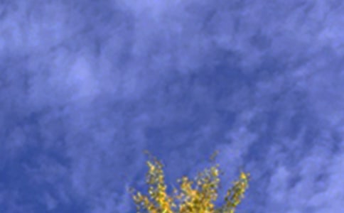 ������ܰ�簲��¼��ȫ��ͨ��70�䣩