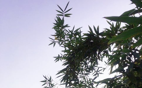 �簲��¼35��