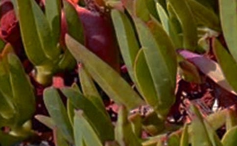 �簲��¼29��