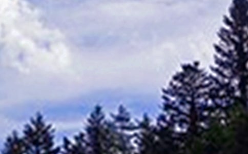 ͨ�����������簲��¼����100��