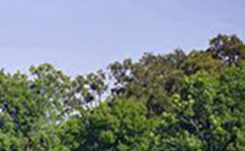 经典个性午安语录(通用100句)