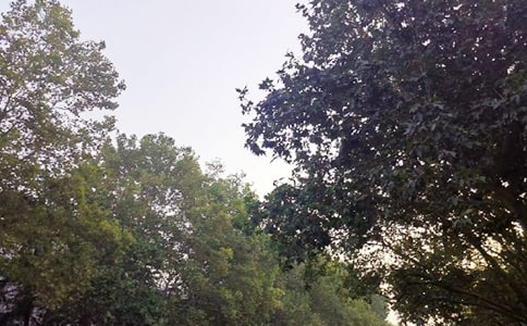 �����������簲�����ȫ����ѡ70�䣩