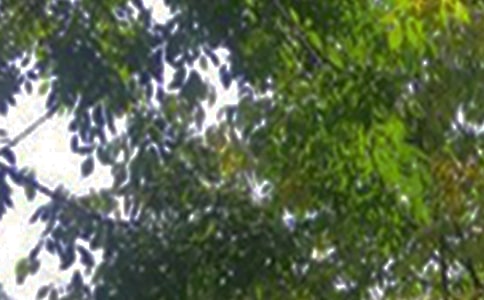 暖心午安语录大全(精选60句)