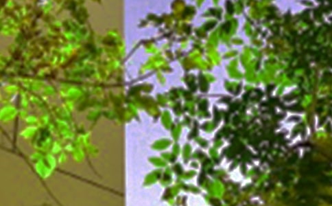 2023���簲��¼48��