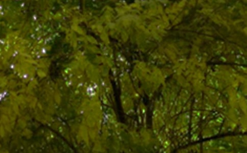 治愈午安语录40句精选