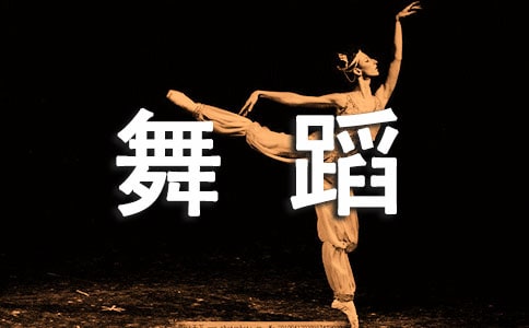 �赸ְҵ���Ĺ滮����