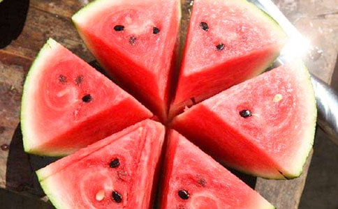 蚂蚁和西瓜活动反思