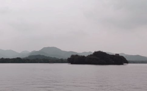 �����������Ӫ����ֵ