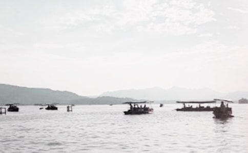 采桑子·群芳过后西湖好原文、翻译注释及赏析