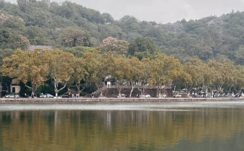 ľ�������������ʹ�_�����Ĵ�ԭ������������