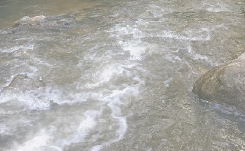 ��СϪ���ĸ衷�̰�