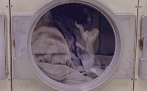 ϴ�·��İ�ȫ�ƶ�