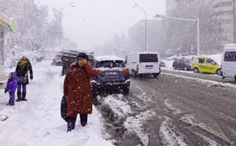 С��������ѩ�˽̰�