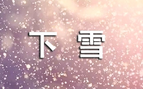 下雪新闻稿集锦15篇