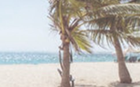 �ļ������Ӧ��Ԥ��(��Ʒ)