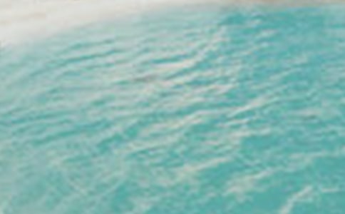 �ļ���ɹ��Щ�¶������Ƿ�ɹ5�ֳ�ʶ