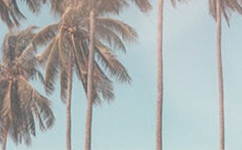 描述夏季炎热的美丽句子