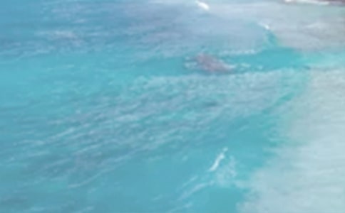 ɽͤ����ԭ�ļ�����