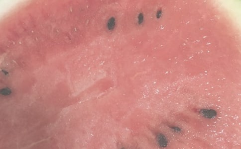 ���վ���ԭ�ġ�����