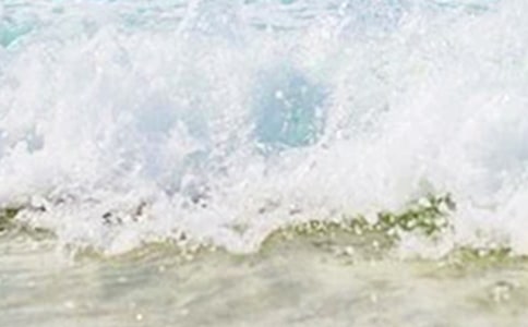 ����������İ�