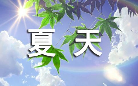 夏天的歌教案