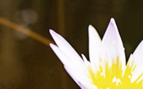 ���������Ĵ�ͳϰ��