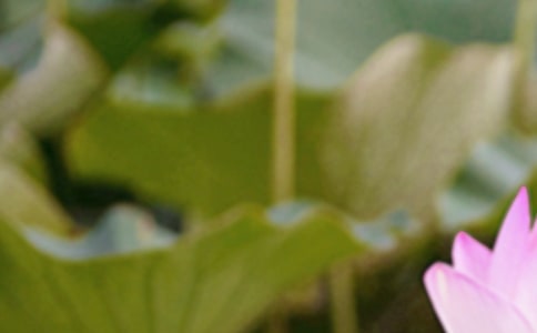 夏至未至经典感人台词