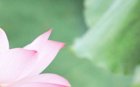 ����������������