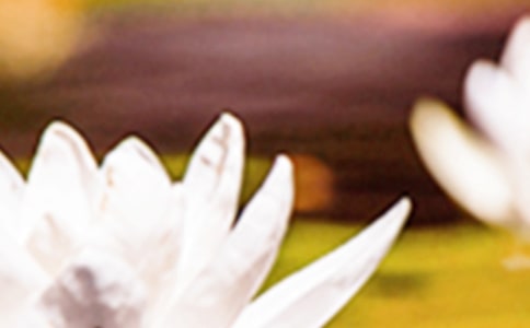 夏至有什么活动