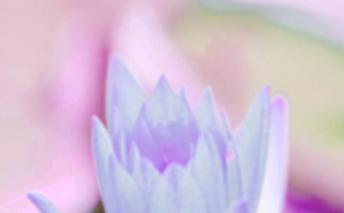 ���������ķ���