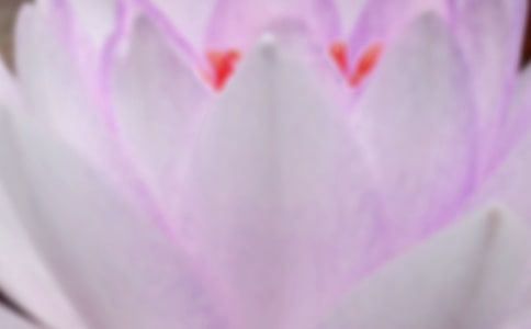 ��������ϰ��