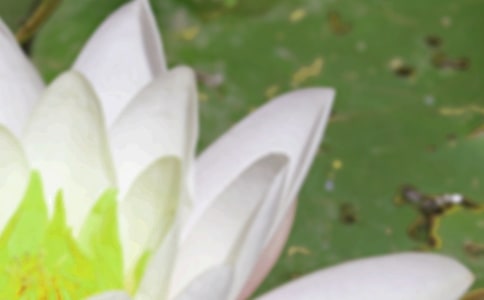 ��ҽ��������