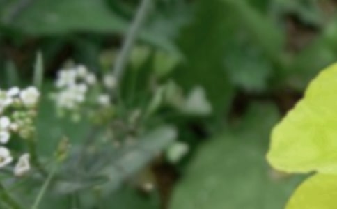 ��������ϰ��(14ƪ)