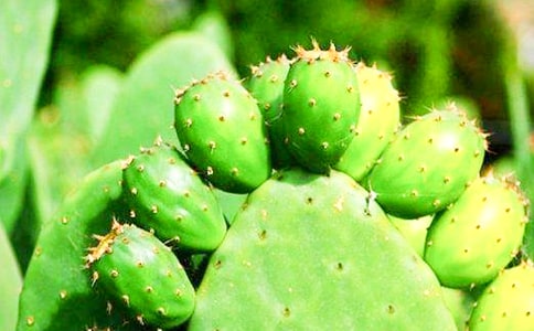 �����Ƽ޽�зצ���ķ���